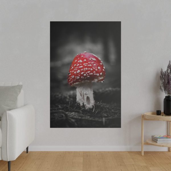 82237-58.jpg Amanita Muscaria Standard Canvas