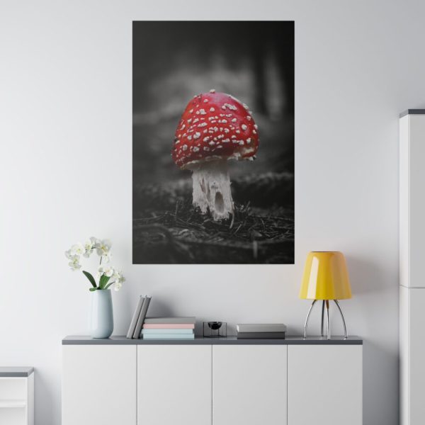 82237-59.jpg Amanita Muscaria Standard Canvas