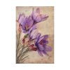 Saffron Flower Grunge Standard Canvas
