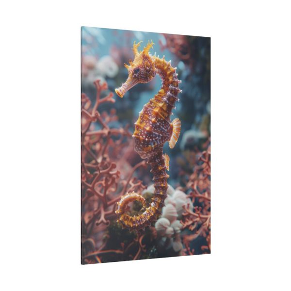 82237-72.jpg Seahorse Art Standard Canvas
