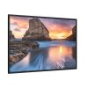 Shark Fin Cove During Sunset Framed Canvas