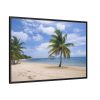 88289-305.jpg Coast With Palm Tree Framed Canvas