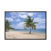 88289-306.jpg Coast With Palm Tree Framed Canvas
