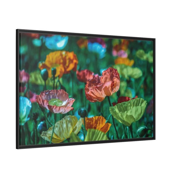 88289-395.jpg Colorful Blooming Poppies Framed Canvas