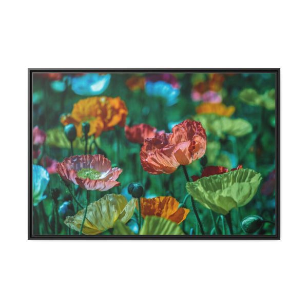 88289-396.jpg Colorful Blooming Poppies Framed Canvas