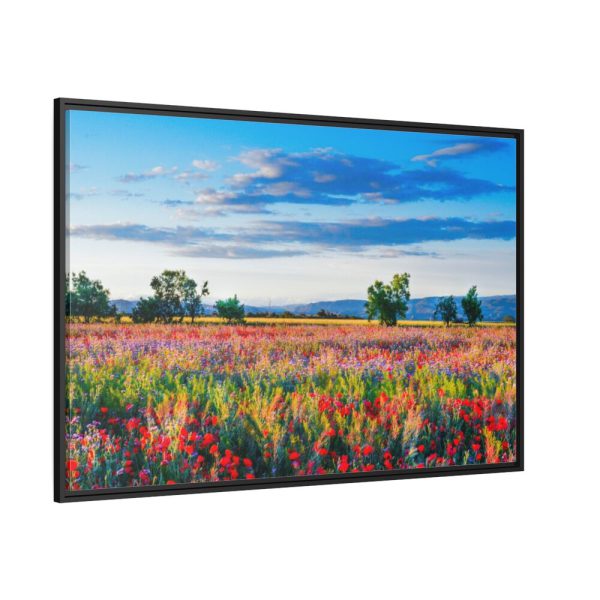88289-400.jpg Red Poppy Field Framed Canvas