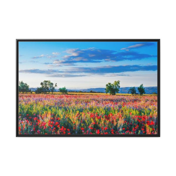 88289-401.jpg Red Poppy Field Framed Canvas