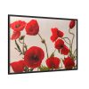 88289-405.jpg Red Poppy Framed Canvas