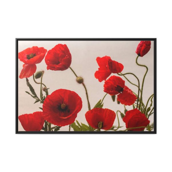 88289-406.jpg Red Poppy Framed Canvas