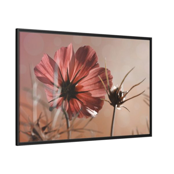 88289-425.jpg Pink Cosmos II Framed Canvas