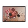 88289-426.jpg Pink Cosmos II Framed Canvas