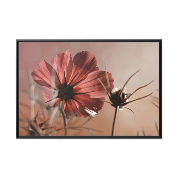 88289-426.jpg Pink Cosmos II Framed Canvas