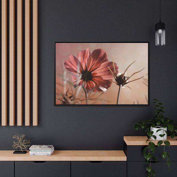 88289-429.jpg Pink Cosmos II Framed Canvas