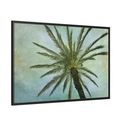 Vintage Palm Tree Canopy And Sky Framed Canvas