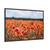 88289-505.jpg Beautiful Red Field Framed Canvas