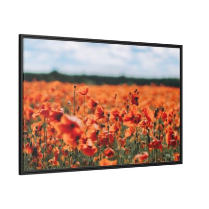 Beautiful Red Field Framed Canvas