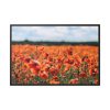 88289-506.jpg Beautiful Red Field Framed Canvas