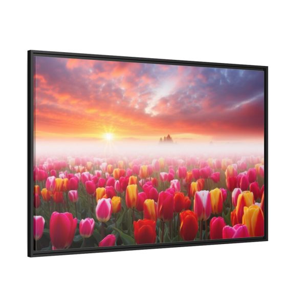 88289-550.jpg Tulip Field In The Morning Framed Canvas