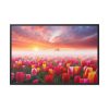 88289-551.jpg Tulip Field In The Morning Framed Canvas