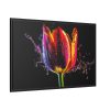 88289-555.jpg Close-up Shot Tulip Framed Canvas