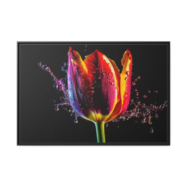 88289-556.jpg Close-up Shot Tulip Framed Canvas