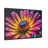 88289-585.jpg Spanish Daisy Framed Canvas