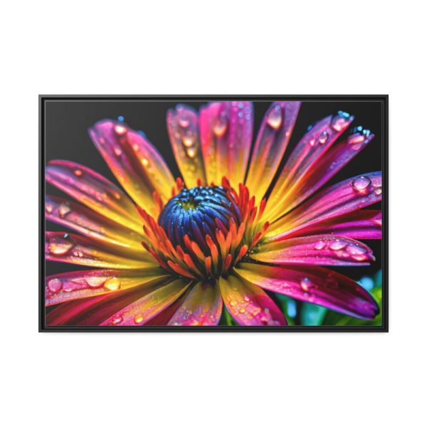 88289-586.jpg Spanish Daisy Framed Canvas