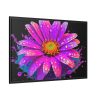 88289-595.jpg Colorful Daisy Framed Canvas