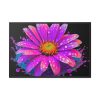 88289-596.jpg Colorful Daisy Framed Canvas