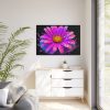 88289-598.jpg Colorful Daisy Framed Canvas