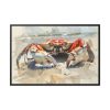 88289-621.jpg Crab Watercolor Art Framed Canvas