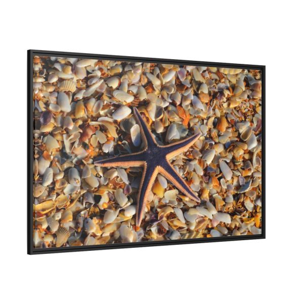 88289-665.jpg Starfish And Shells Framed Canvas