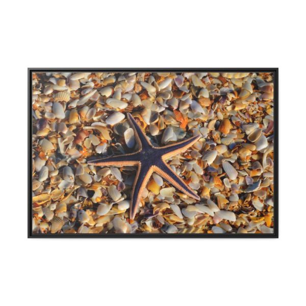 88289-666.jpg Starfish And Shells Framed Canvas