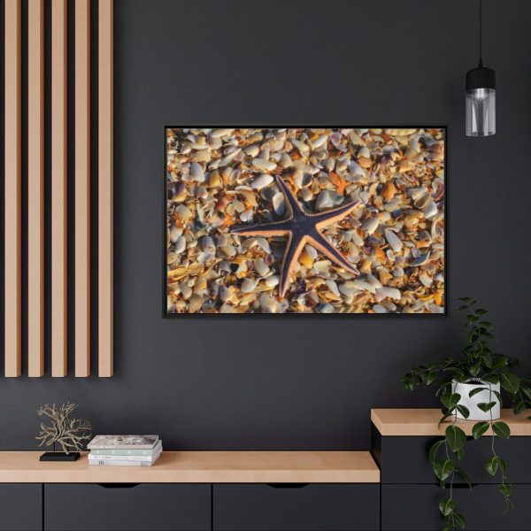 88289-669.jpg Starfish And Shells Framed Canvas