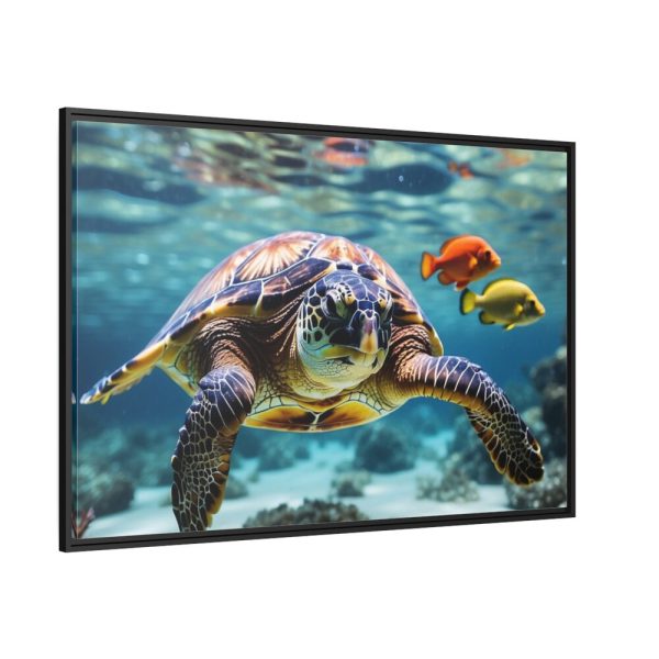 Swimming Sea Turtle Framed Canvas