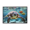 Swimming Sea Turtle Framed Canvas