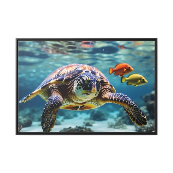 Swimming Sea Turtle Framed Canvas