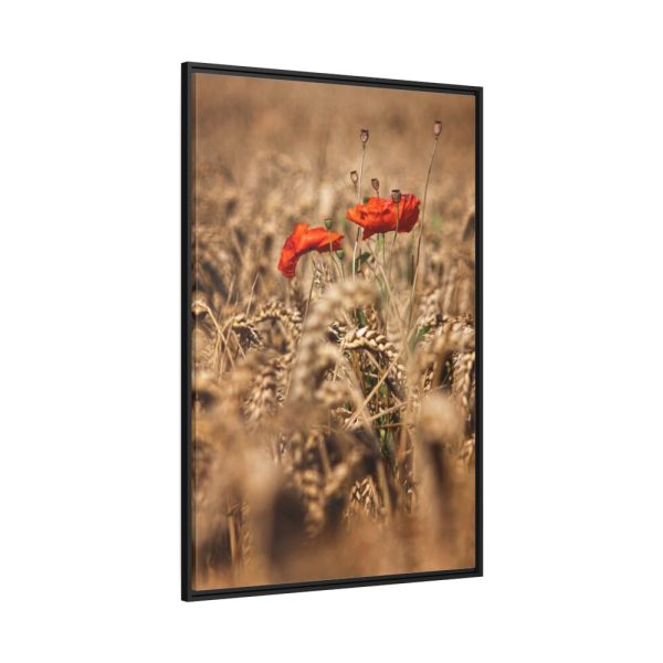 88299-110.jpg Poppy in Cornfield Framed Canvas