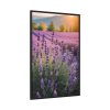 Lavender Flowers Field Framed Canvas