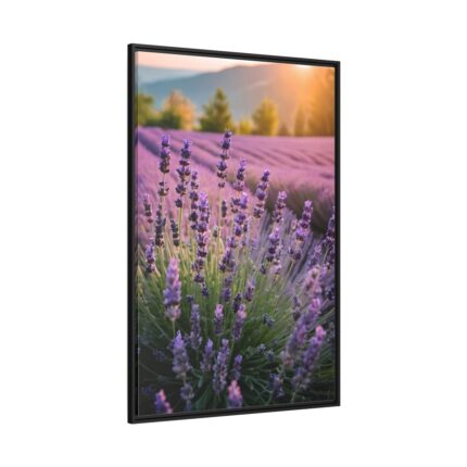 Lavender Flowers Field Framed Canvas