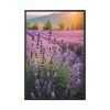Lavender Flowers Field Framed Canvas