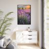 Lavender Flowers Field Framed Canvas