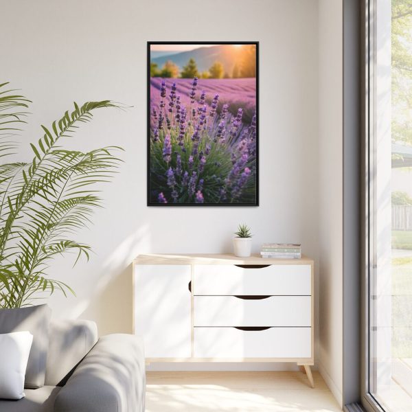 Lavender Flowers Field Framed Canvas
