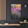 Lavender Flowers Field Framed Canvas
