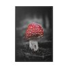 88299-126.jpg Amanita Muscaria Framed Canvas