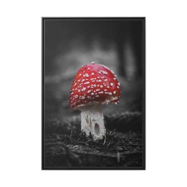 88299-126.jpg Amanita Muscaria Framed Canvas