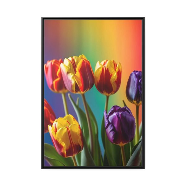 Rainbow Tulips Framed Canvas