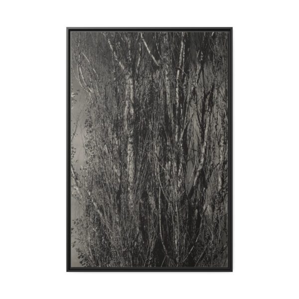 88299-26.jpg Dying Poplar and Live Branch Framed Canvas