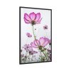 88299-30.jpg Pink Cosmos I Framed Canvas