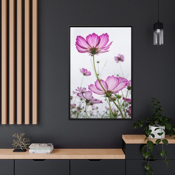 88299-34.jpg Pink Cosmos I Framed Canvas